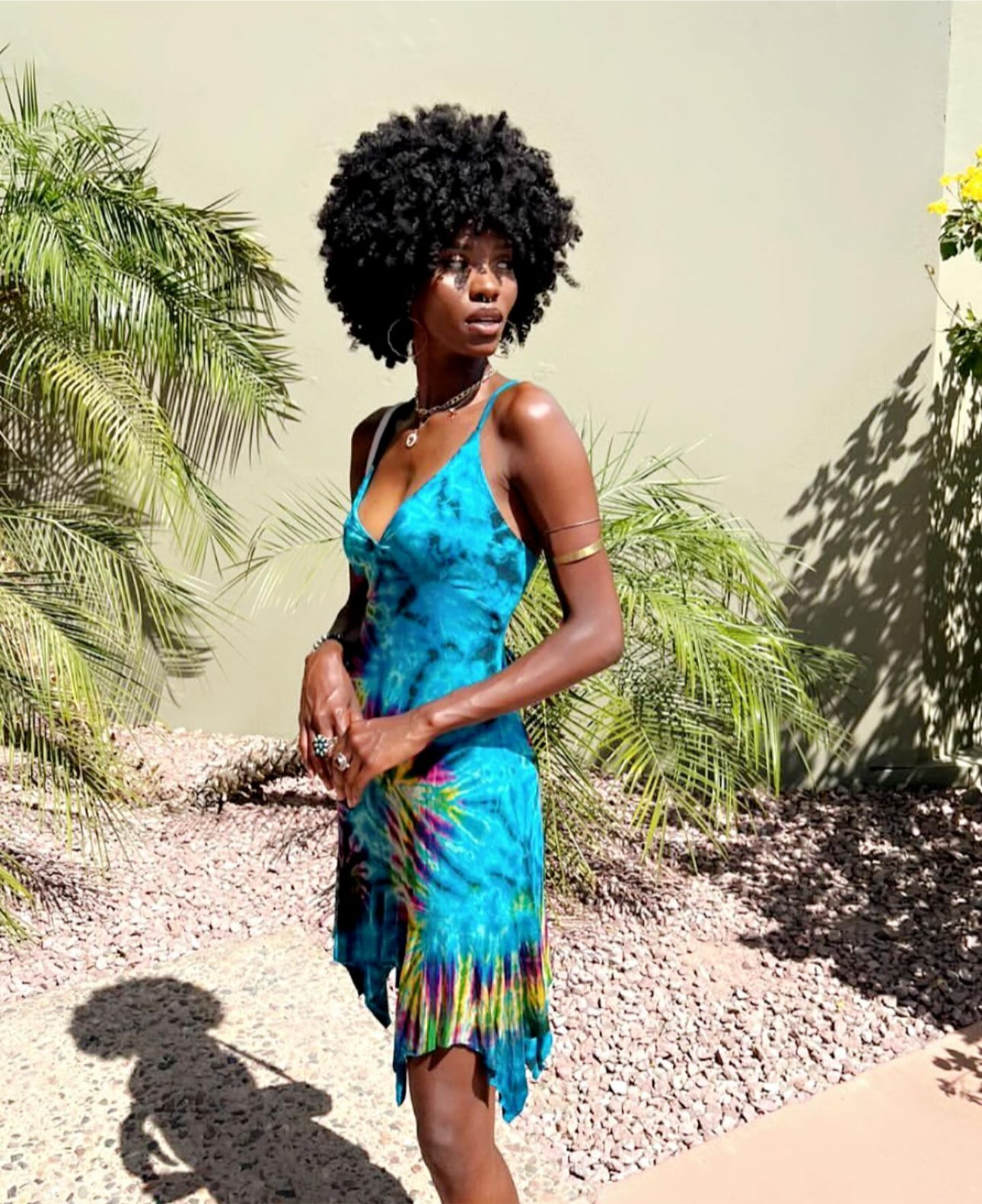 Summer in Venice beach dress (All colors)